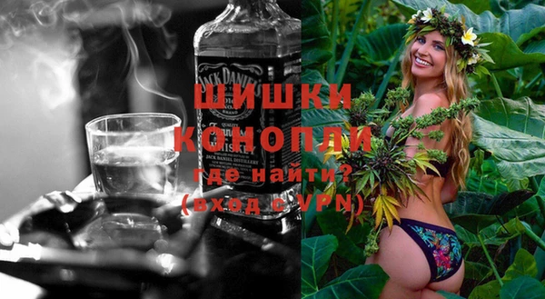 дурь Бородино