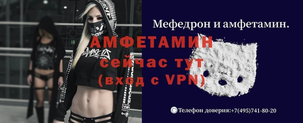дурь Бородино