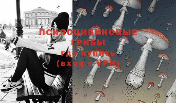 MDMA Богданович